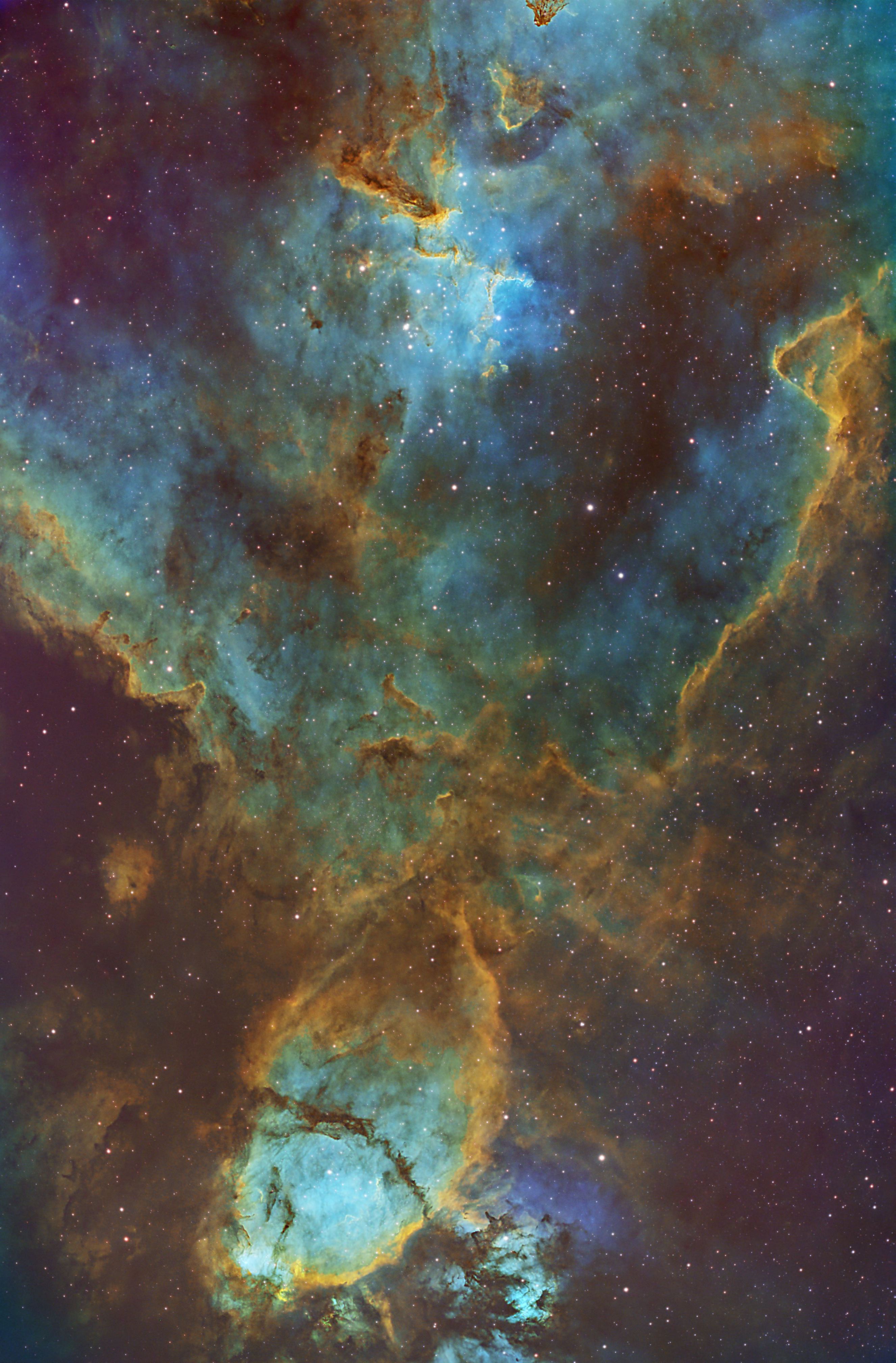 Nebulosa Fish Head + Melotte 15 - SHO